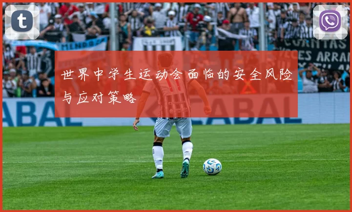 世界中学生运动会面临的安全风险与应对策略