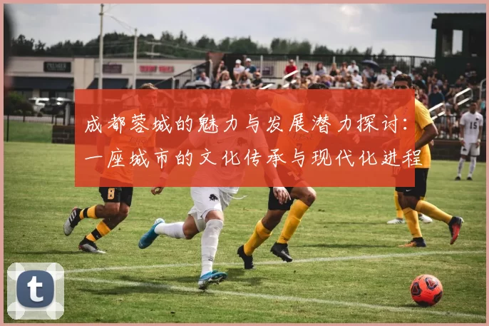 成都蓉城的魅力与发展潜力探讨：一座城市的文化传承与现代化进程