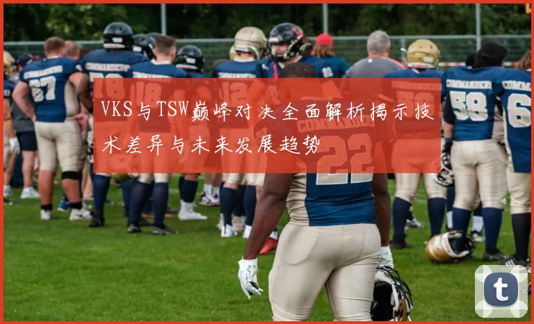 VKS与TSW巅峰对决全面解析揭示技术差异与未来发展趋势