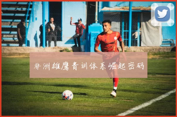 非洲雄鹰青训体系崛起密码
