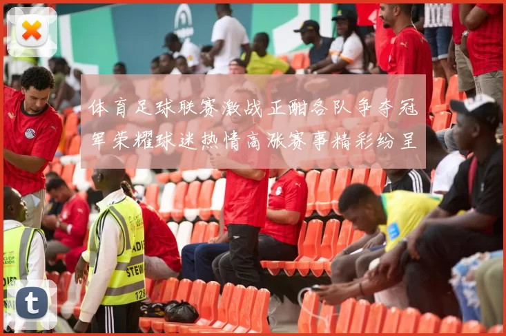 体育足球联赛激战正酣各队争夺冠军荣耀球迷热情高涨赛事精彩纷呈