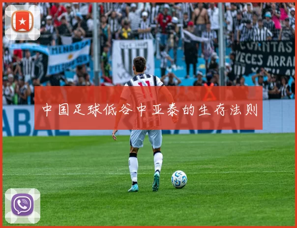 中国足球低谷中亚泰的生存法则