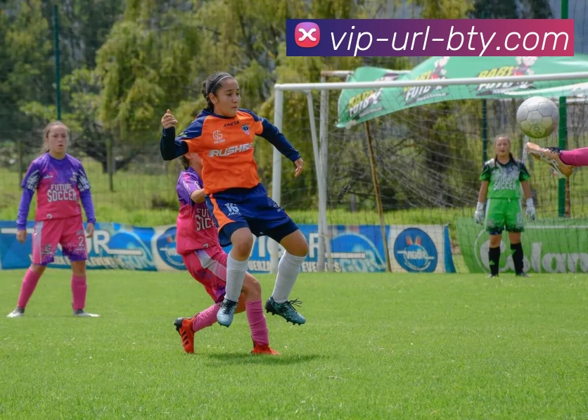 b体育平台生态图